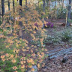 Meet your Posher, Brenda